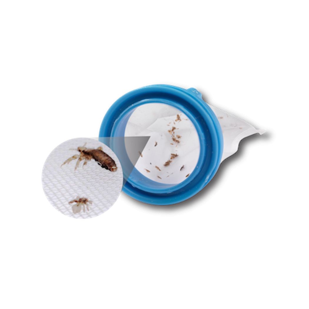 V Comb - Head Lice Treatment Comb